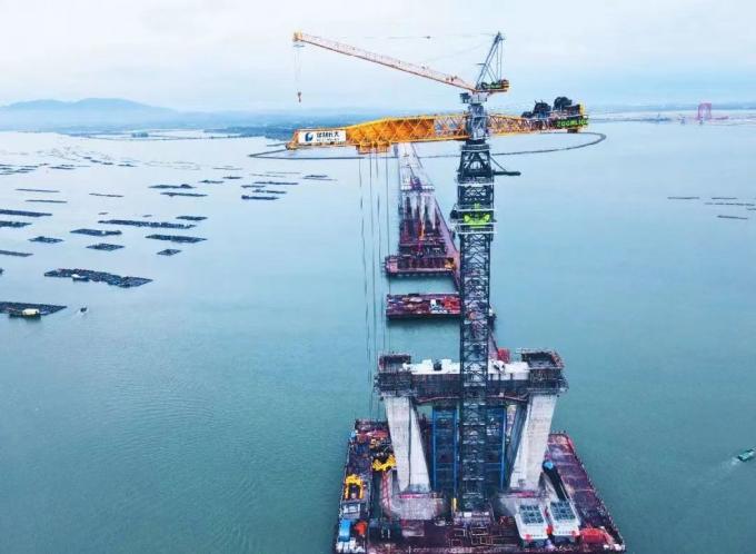 Zoomlion′s Tower Cranes Can Lift up to 10 Tons